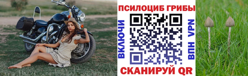 Галлюциногенные грибы мухоморы  Асбест 
