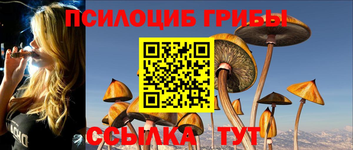 Асбест  хочу наркоту  Вход с VPN  Галлюциногенные грибы мухоморы 