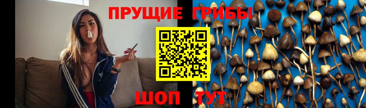 Галлюциногенные грибы Cubensis Асбест